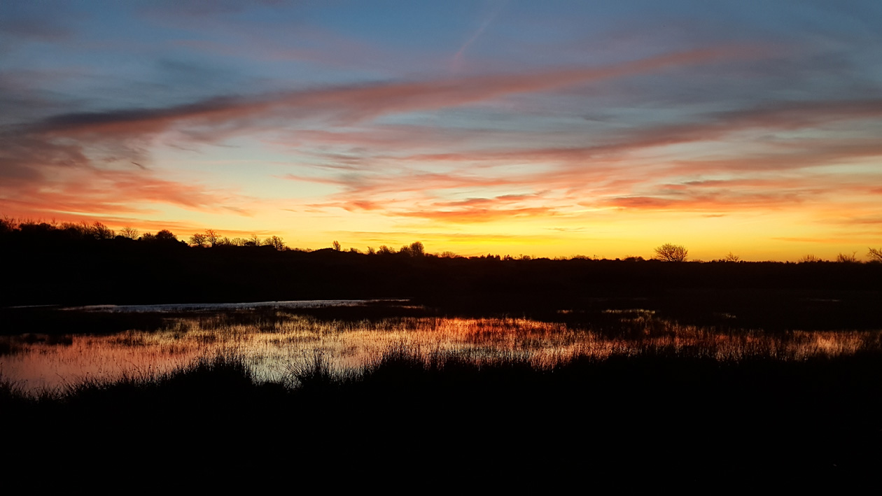 sunset-over-the-swamp-small