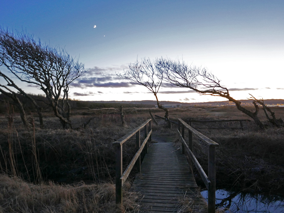 bridge-3-small