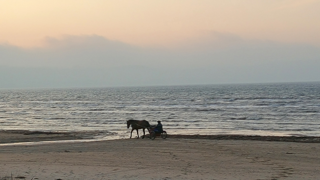 horse.and.van.small