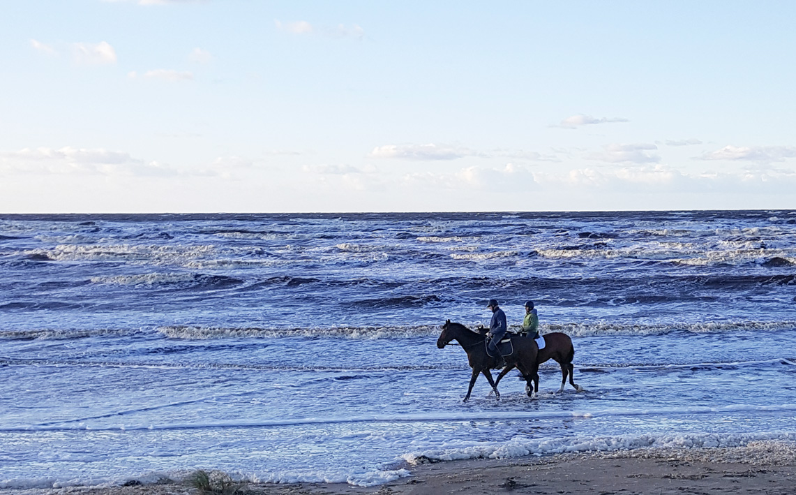 horses.in.the.sea.small