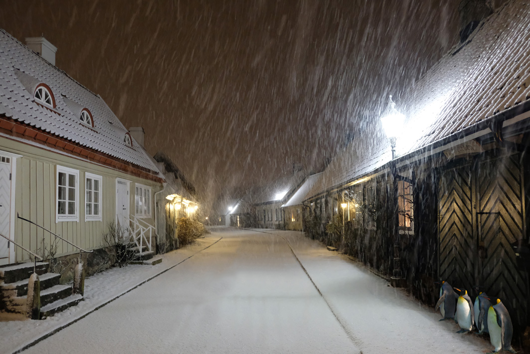 small.p.snow.in.agatan.70.50