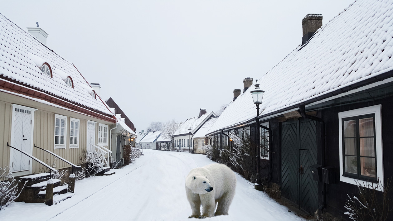 small.polar.bears.agardhsgatan