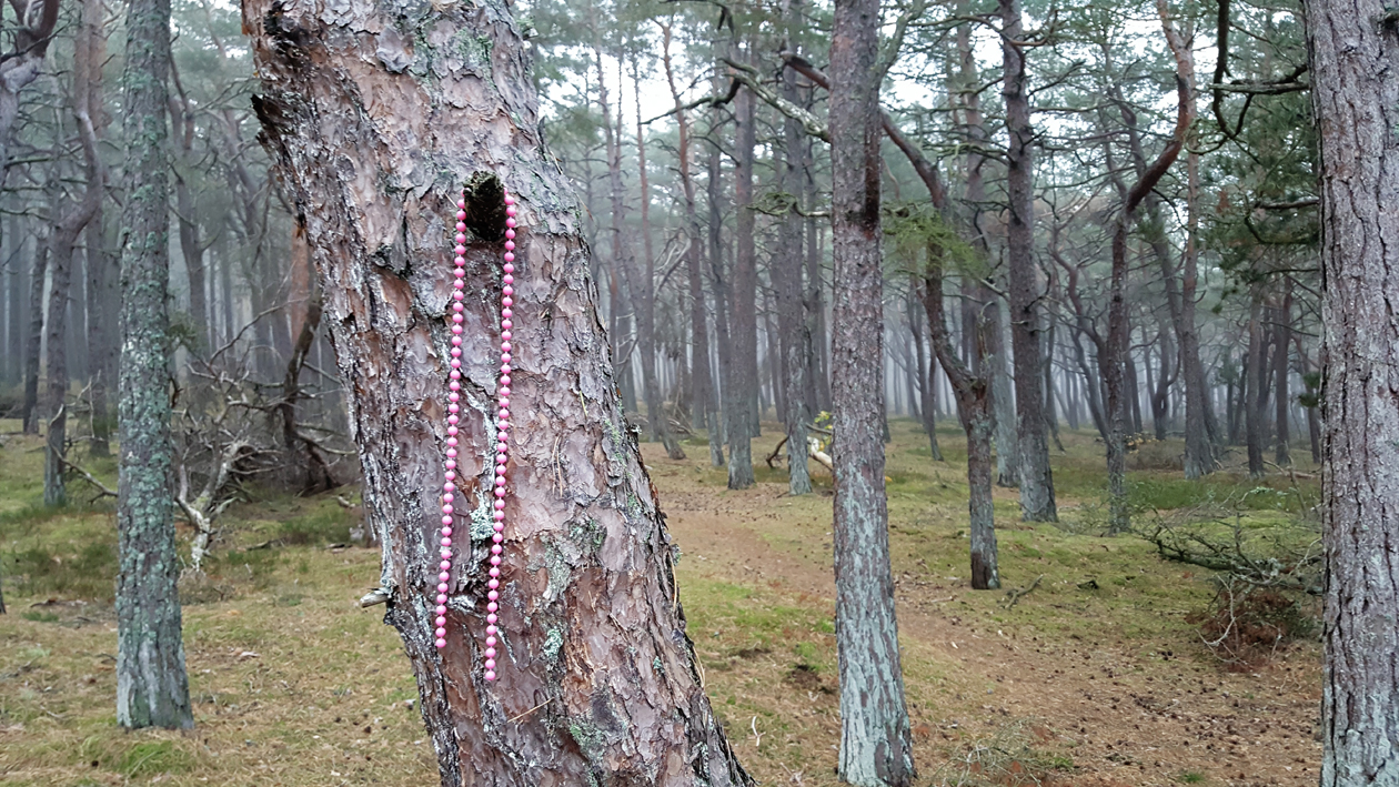 neckless.tree