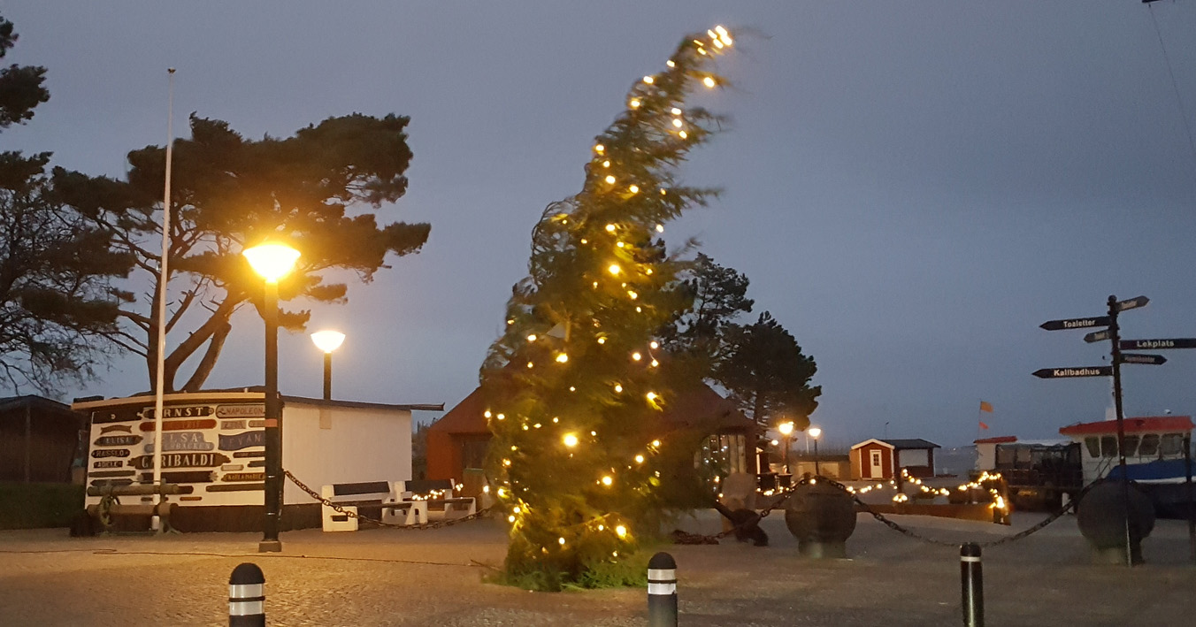 hamngranen