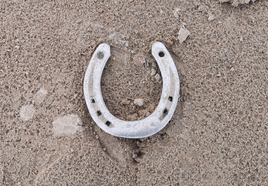lucky.horse.shoe